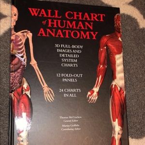 human anatomy book